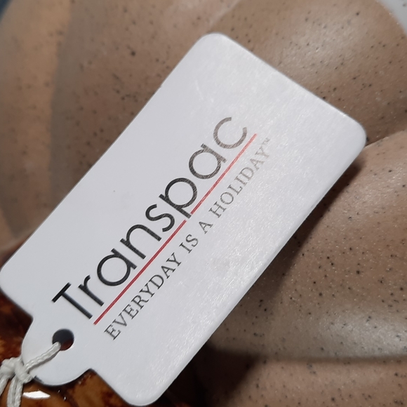 Ceramic Pumpkin Figure Tabletop Decor Fall Harvest Half Glazed White Natural - Picture 6 of 6